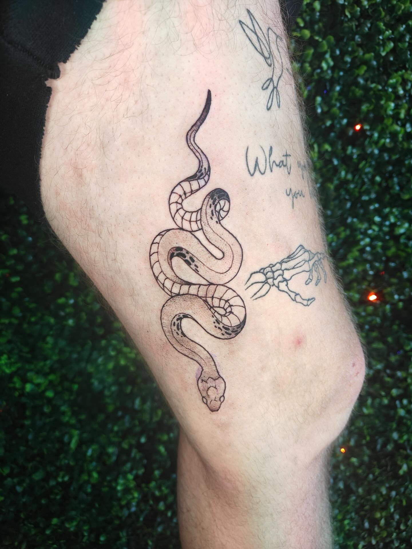 First photo fresh, second photo 3 months healed!!
we have added to this leg, and you will see that soon!!!

Done at @cryptidinkstudio 
✦ thank you for looking!
✦ DM me to book!!
✦ BOOKING APRIL!!!

#queertattooartist #terrehauteindiana #terrehautetat