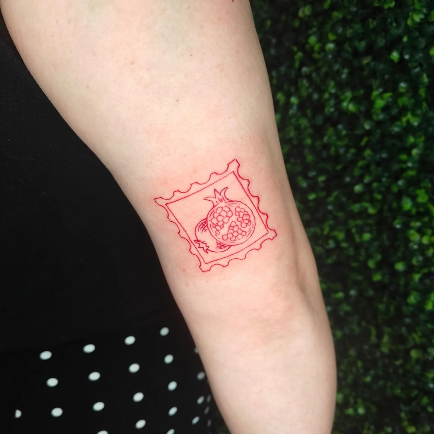 some flash from my book!!

I have lots of available flash to pick from, check out my highlight, or swing by the shop!!

Done at @cryptidinkstudio 
✦ thank you for looking!
✦ DM me to book!!
✦ BOOKING APRIL!!!

#queertattooartist #terrehauteindiana #i