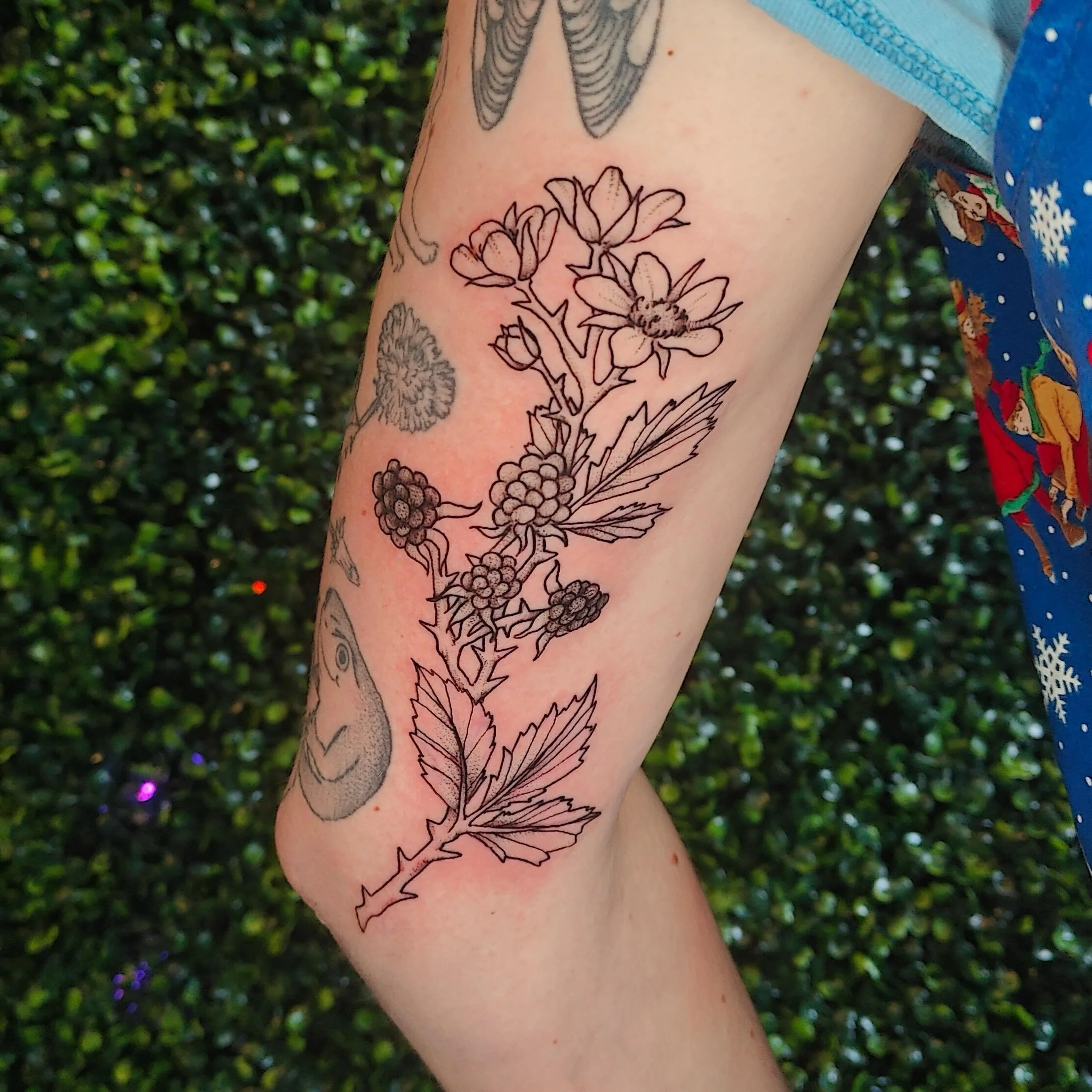 I know you cant tell by this tattoo, but on this day, I got to shoe someone Creed for the first time ever.

Done at @cryptidinkstudio 
✦ thank you for looking!
✦ DM me to book!!
✦ BOOKING MAY/JUNE!!!

#queertattooartist #terrehauteindiana #indianatat
