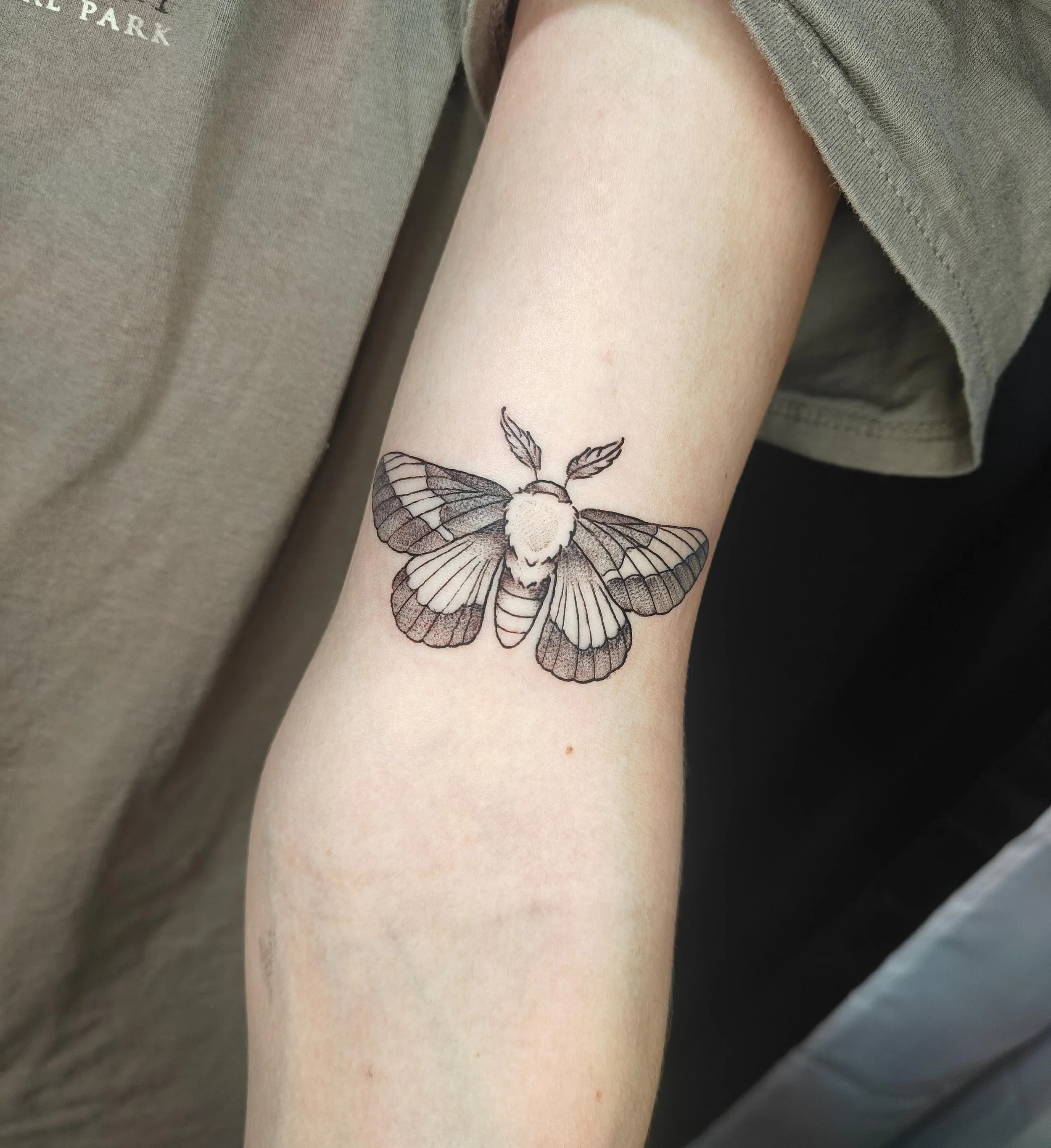 always love a moth tattoo!!

Done at @cryptidinkstudio 
✦ thank you for looking!
✦ DM me to book!!
✦ BOOKING JUNE!!!

#QueerTattooartist #terrehauteindiana #indianatattooartist #indianatattoo
