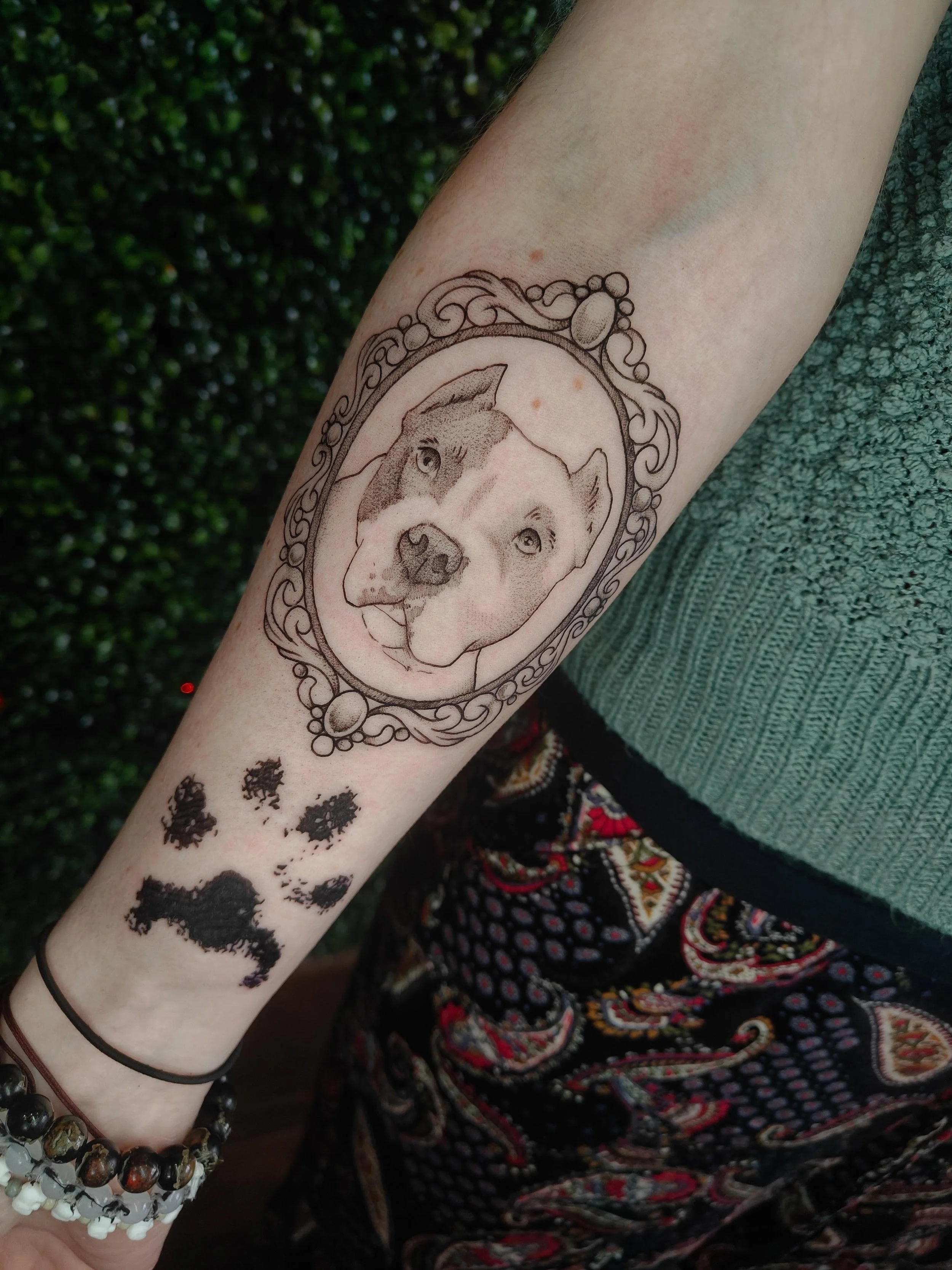 Always love tattooing a fur baby<3

Done at @cryptidinkstudio 
✦ thank you for looking!
✦ DM me to book!!
✦ BOOKING JUNE!!!

#QueerTattooartist #terrehauteindiana #indianatattooartist #indianatattoo