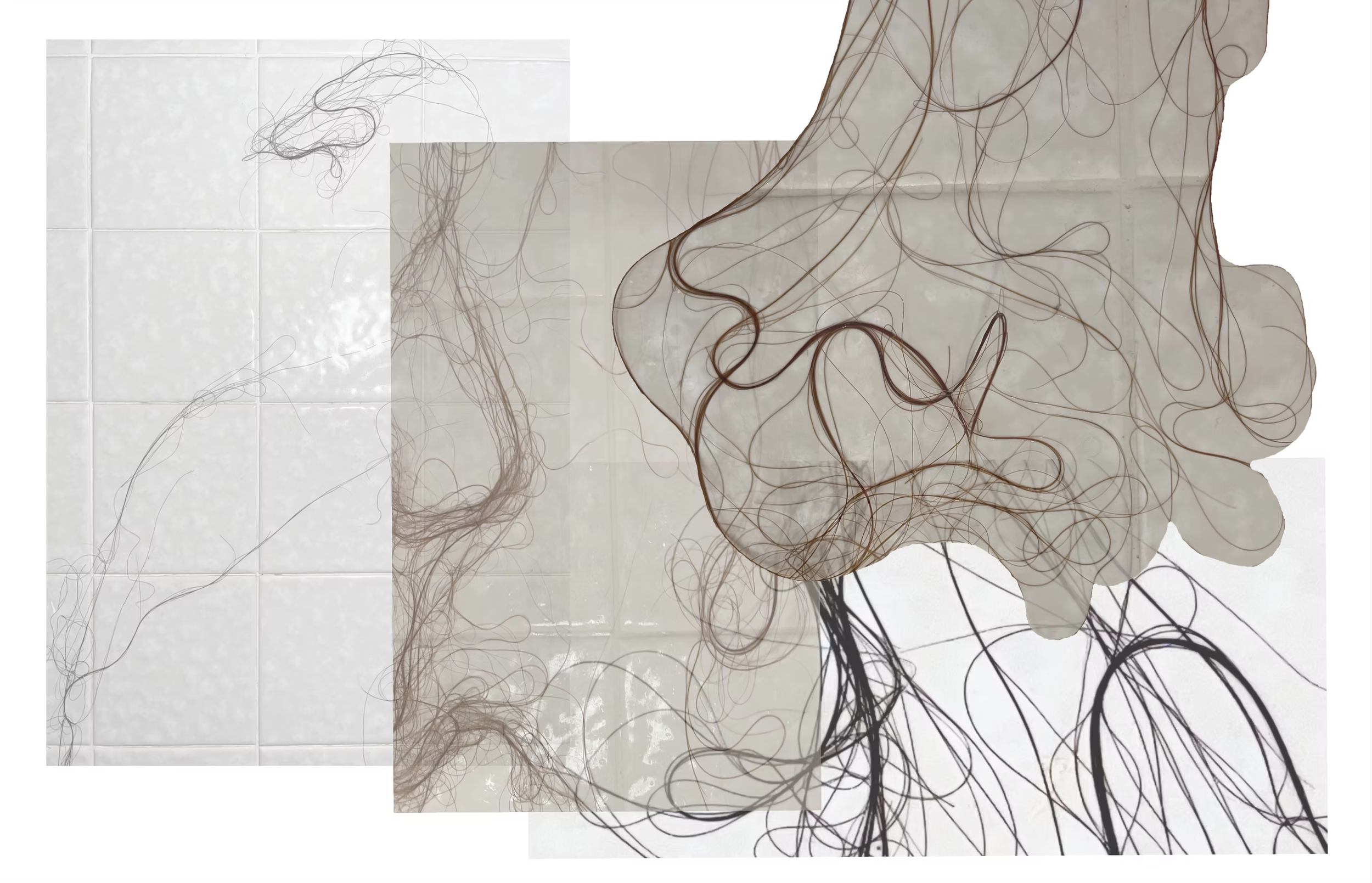 Screenshot 2025-08-18 at 12.30.31 PM.png