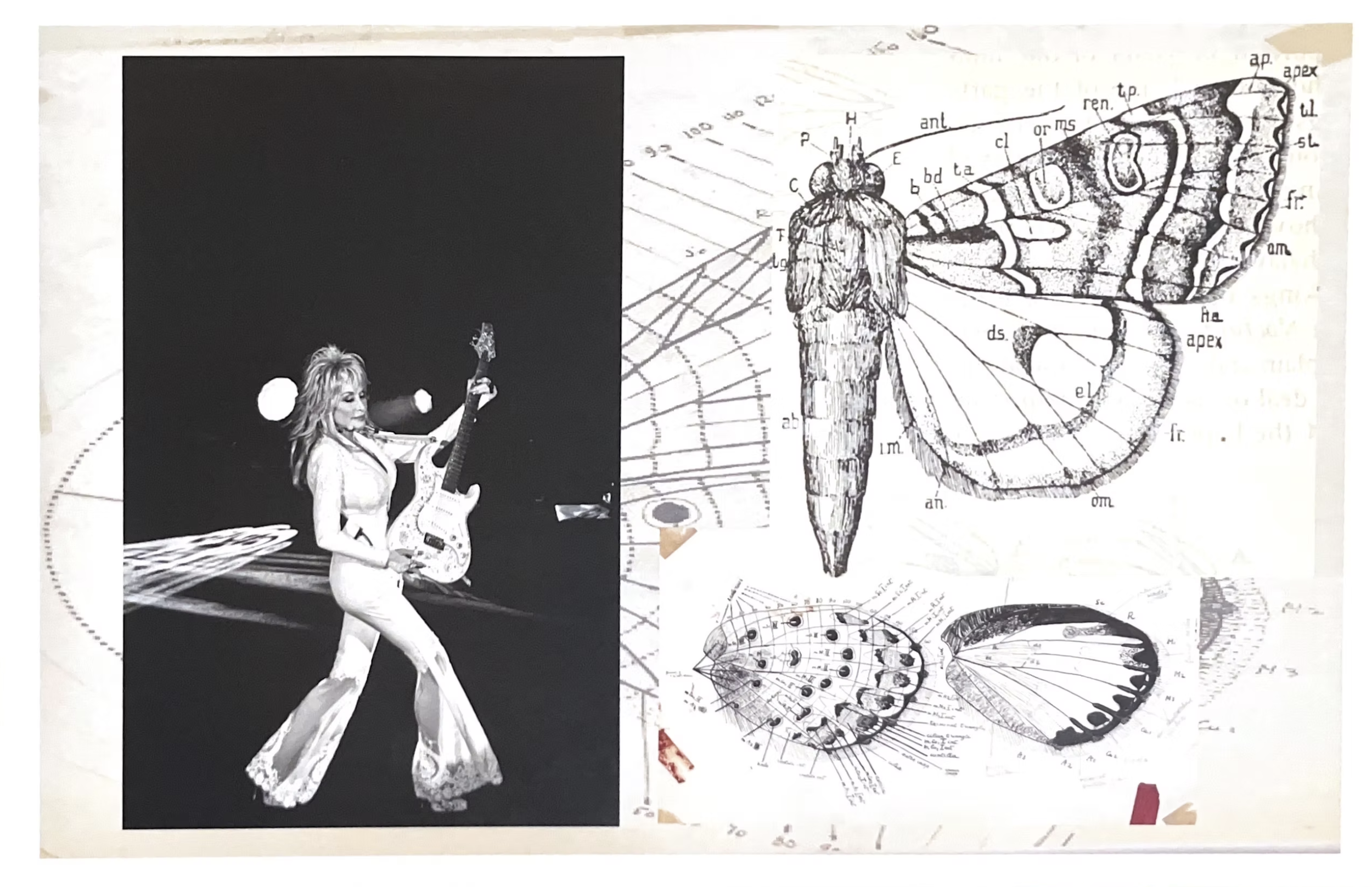 Screenshot 2025-08-18 at 11.05.05 AM.png