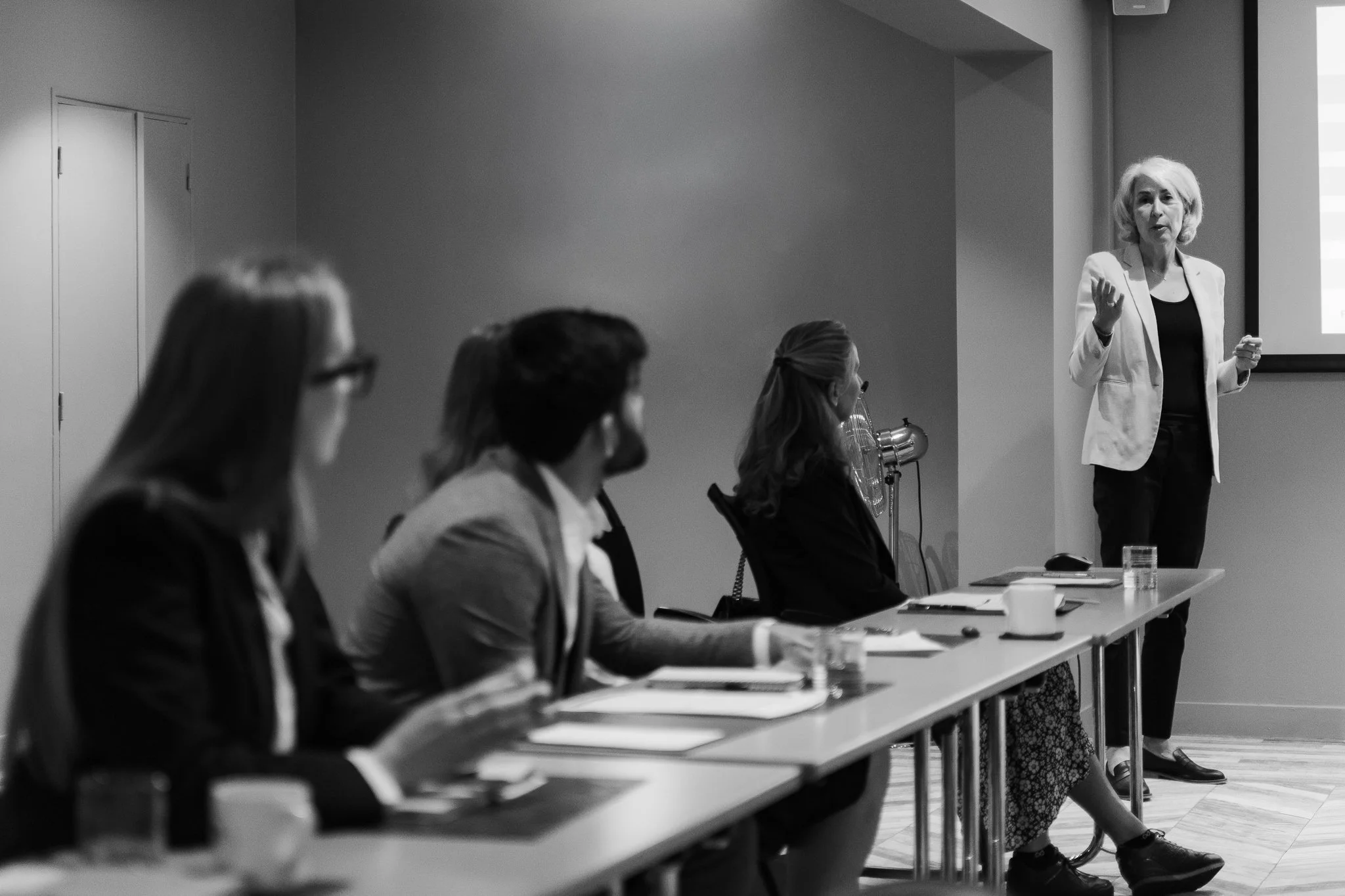 Boards of Directors and Supervisory Boards