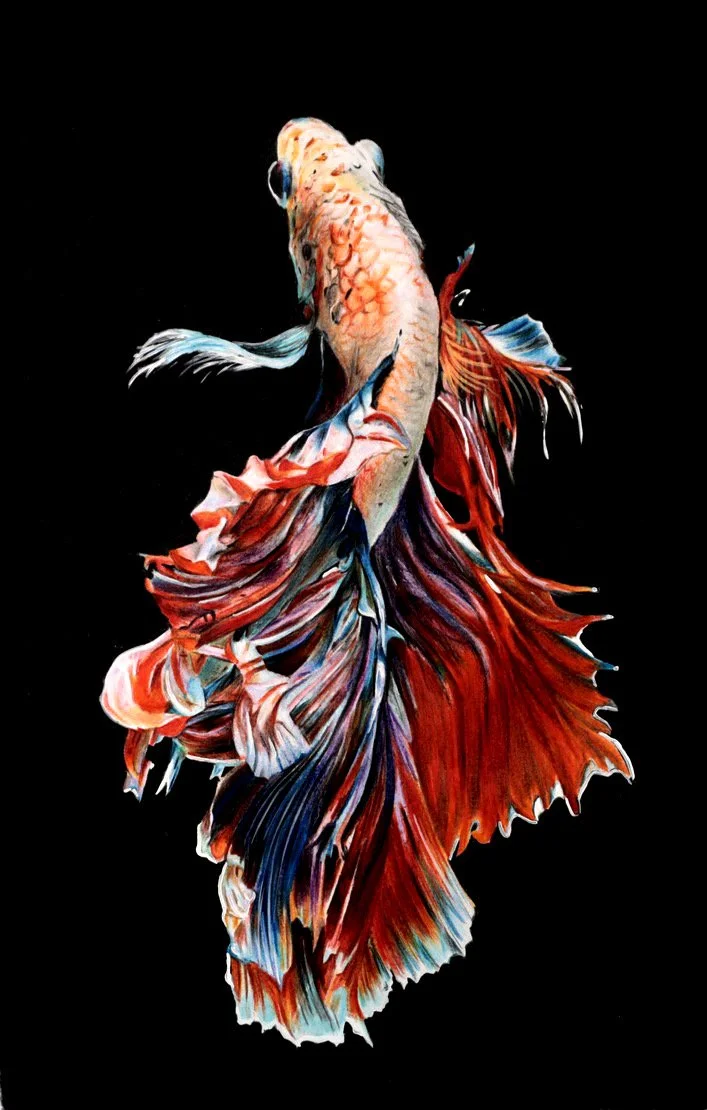 Mia Fish 15_Original.jpg