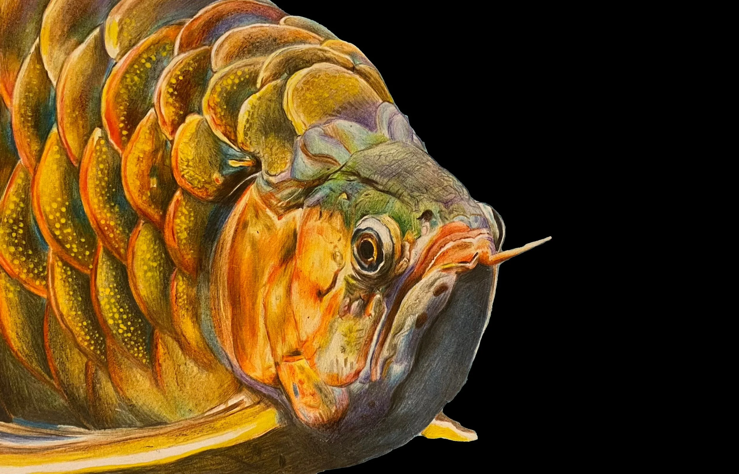 FullSizeRender_Original 2.jpeg