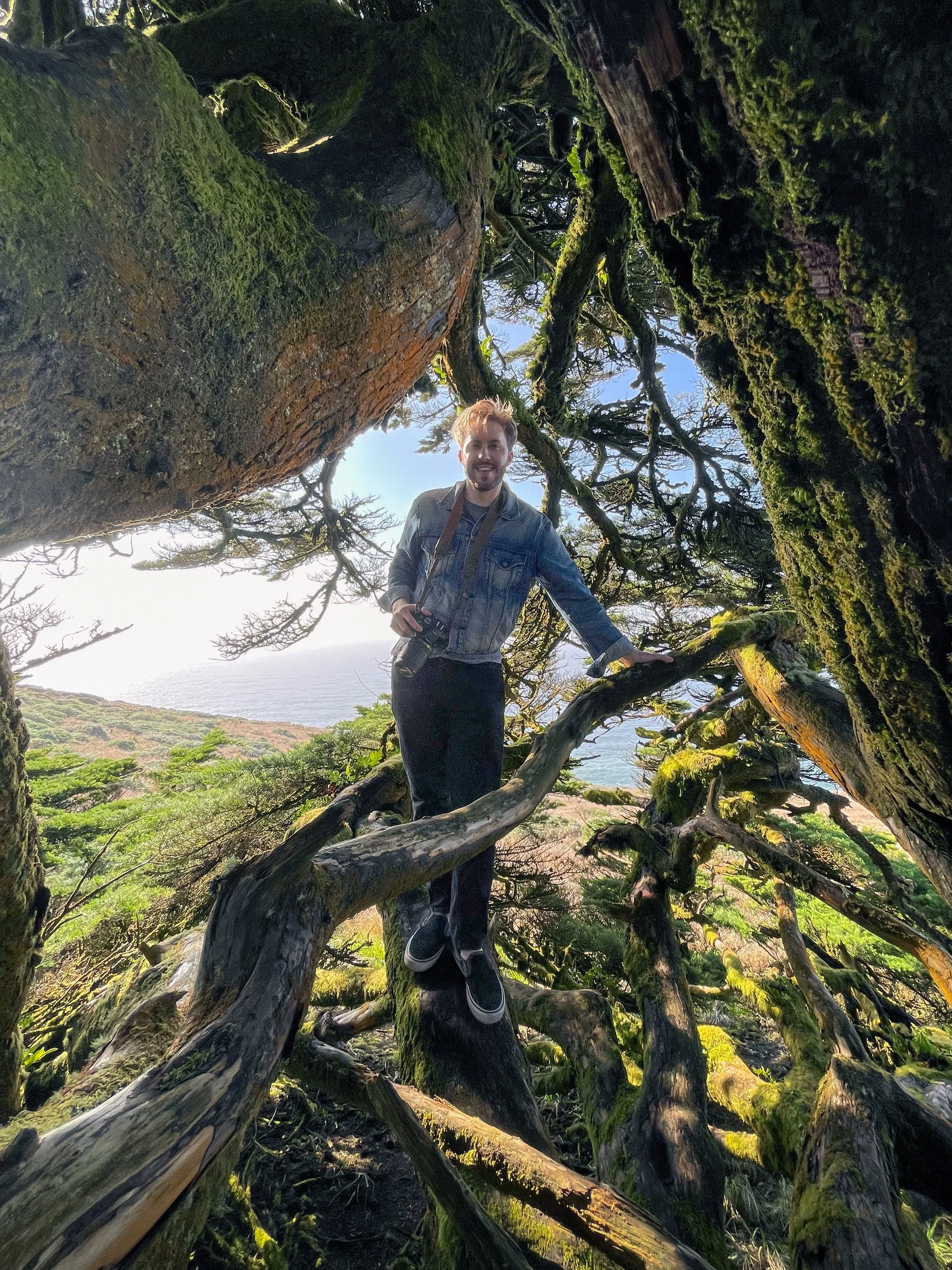 A man smiling and holding a camera, standing inside a large, moss-covered tree with twisted branches and a view of the ocean and landscape in the background.