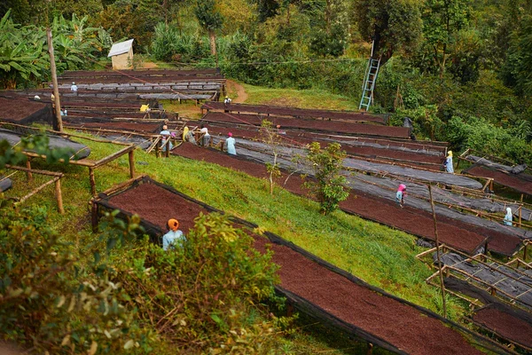 1000 faces at origin.webp