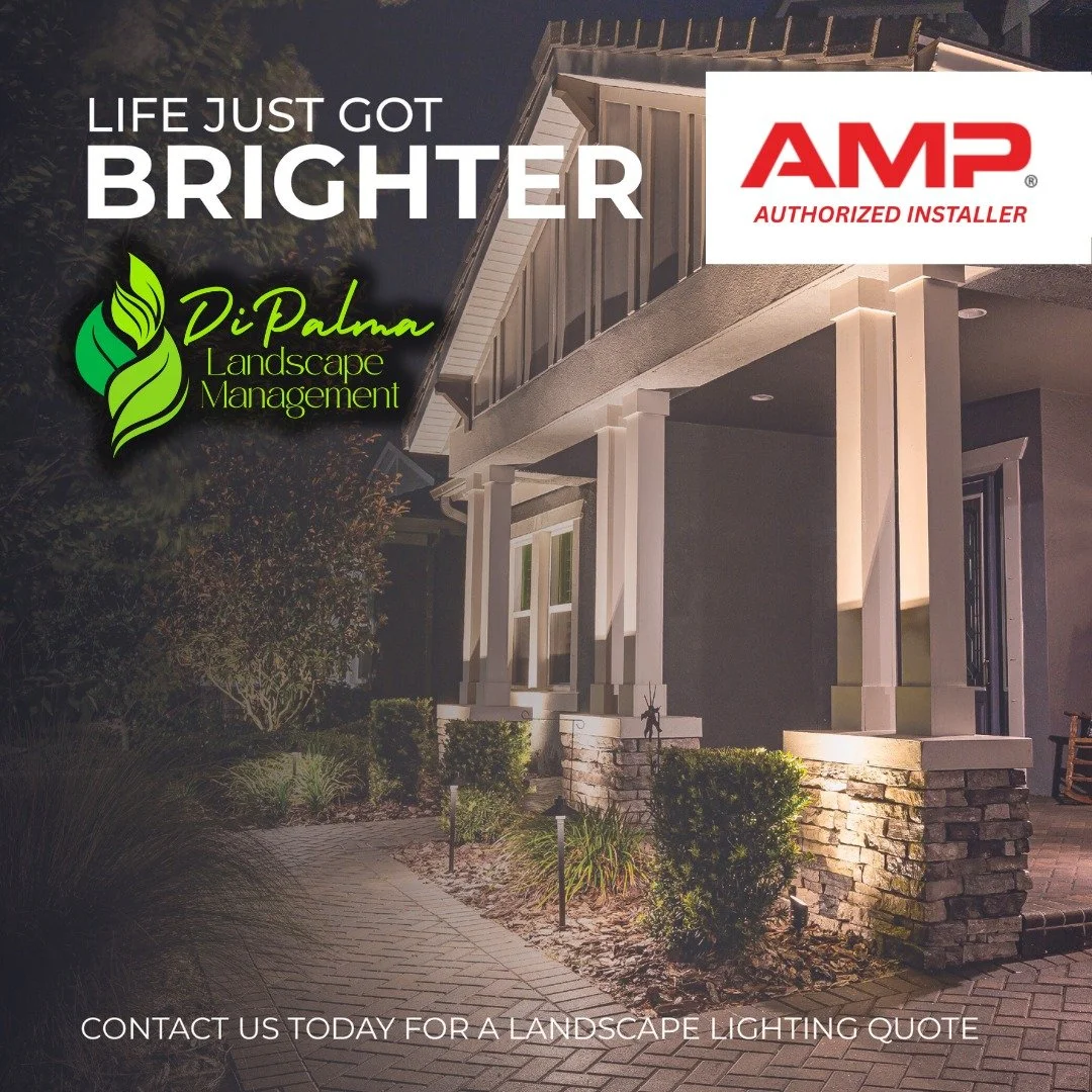 💡 Did you know we&rsquo;re an Authorized Installer of AMP Outdoor Lighting Products! 🌟From pathways to landscapes, our high-end lighting will enhance your landscape and create the perfect atmosphere after dark. 🌟🏡

Reach out today to learn more: 