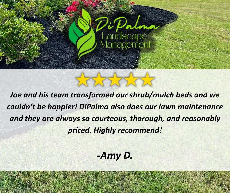 🌟🌟🌟🌟🌟
We love hearing feedback like this! Our commitment to quality and attention to detail is exactly why our company has been rapidly growing across the community. Nothing makes us happier than satisfied customers who trust us with their lands