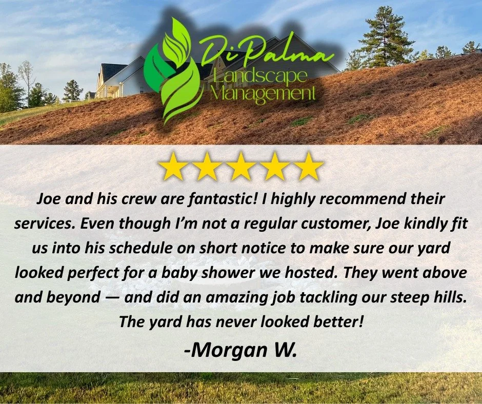 🌟 Another happy client! Nothing makes us happier than knowing our hard work and dedication show through in every project.

Thank you to all of our clients who continue to trust DiPalma Landscape Management with their lawns and landscapes&mdash;we tr