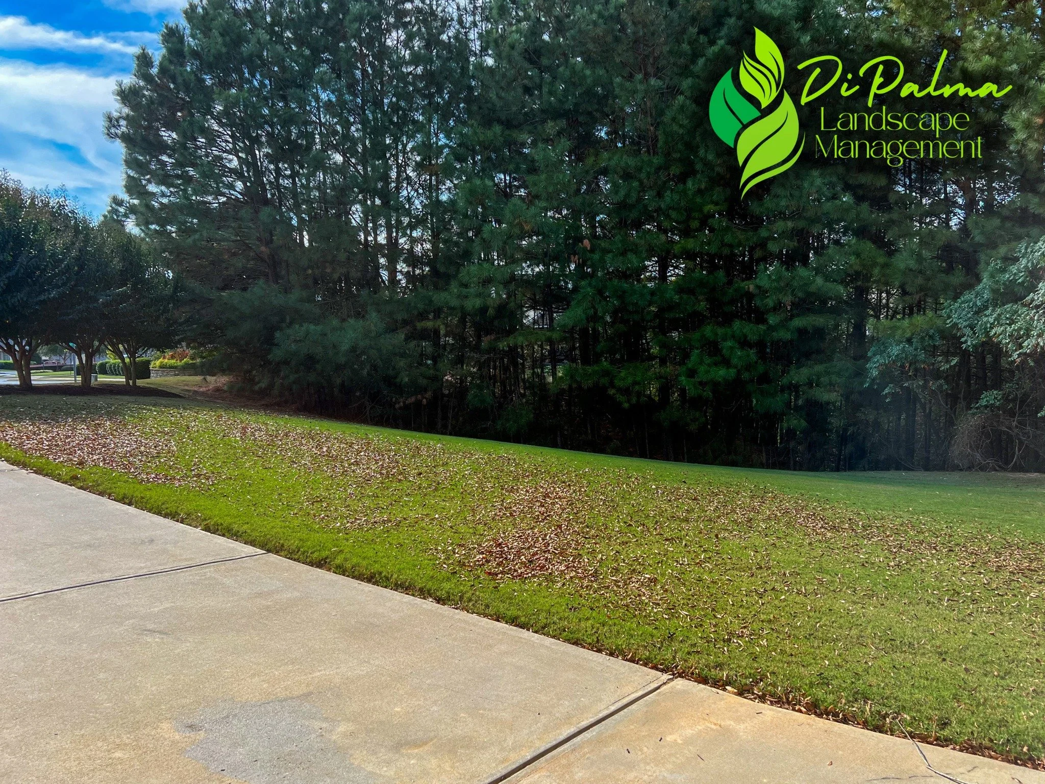 🍂 The leaves are starting to fall! 🍁 Let us help you keep your yard looking its best. Contact us today to schedule your fall clean-up! 📞✨ 

☎️ 770-370-1138
🌐 www.dipalmalandscape.com
📧 jdipalma@dipalmalandscape.com

#FallCleanUp #LeafRemoval #La