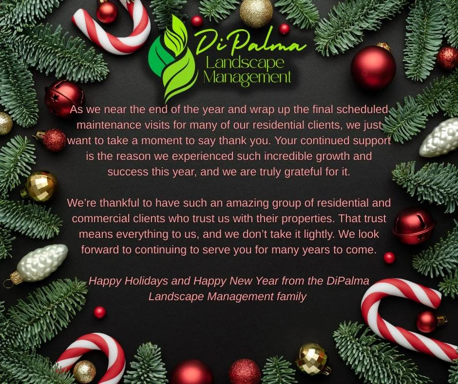 🎁Wishing everyone a happy holiday season and a wonderful New Year 🎊from DiPalma Landscape Management.🎄