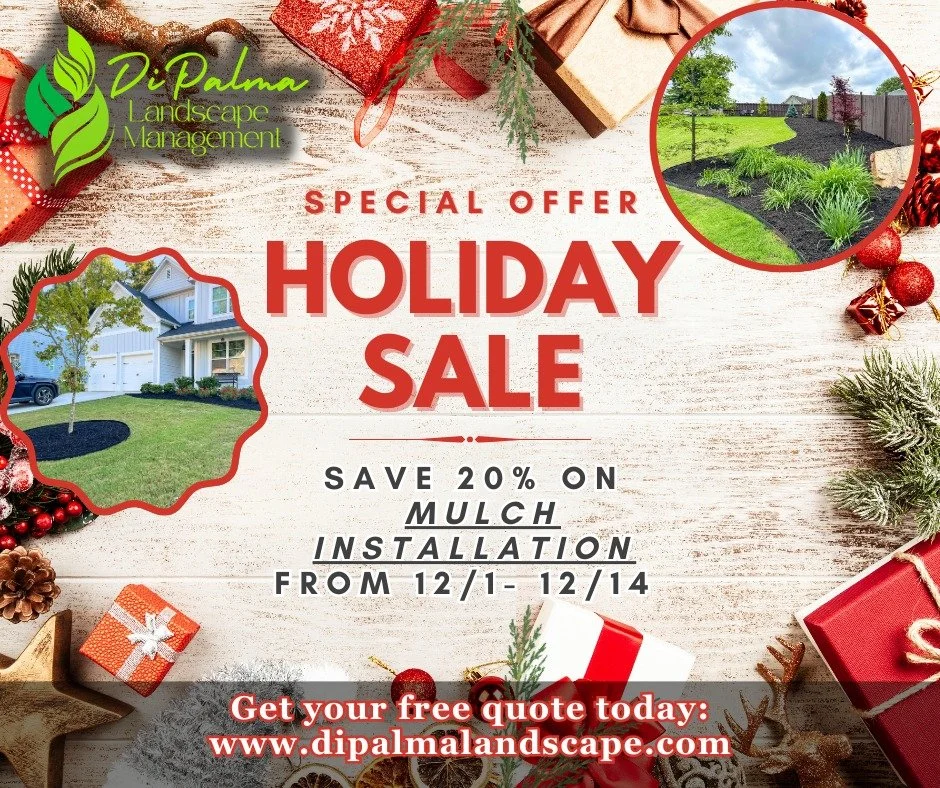 ☃ Our annual holiday mulch installation sale is here again.🔔 Refresh your landscape and get it looking its best for the season with some fresh new mulch. 🎁💫

🌎 www.dipalmalandscape.com
📲 770-370-1138