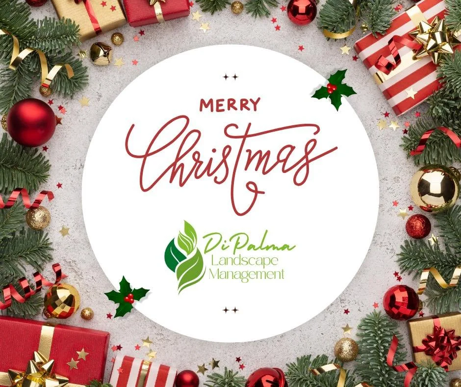 Merry Christmas from DiPalma Landscape Management 🎄✨