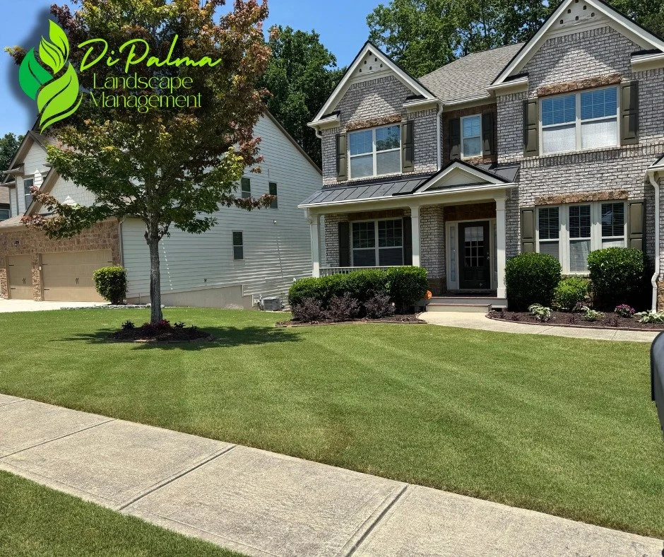 🌿We take care of your property week after week, keeping everything clean, maintained, and on schedule so you never have to worry about it.✨

✅ On-time, reliable lawn maintenance
✅ Easy online billing &amp; autopay options
✅ Fully licensed &amp; insu