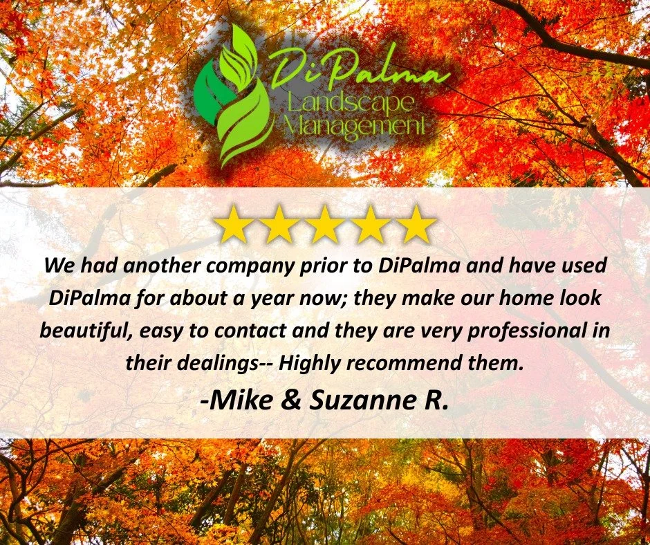 💫 We love hearing your feedback! Your reviews help us grow and continue providing top-quality landscape services. 🌿

If you&rsquo;ve worked with us recently, share your experience &mdash; we&rsquo;d love to hear from you! ⭐

Contact us today for yo