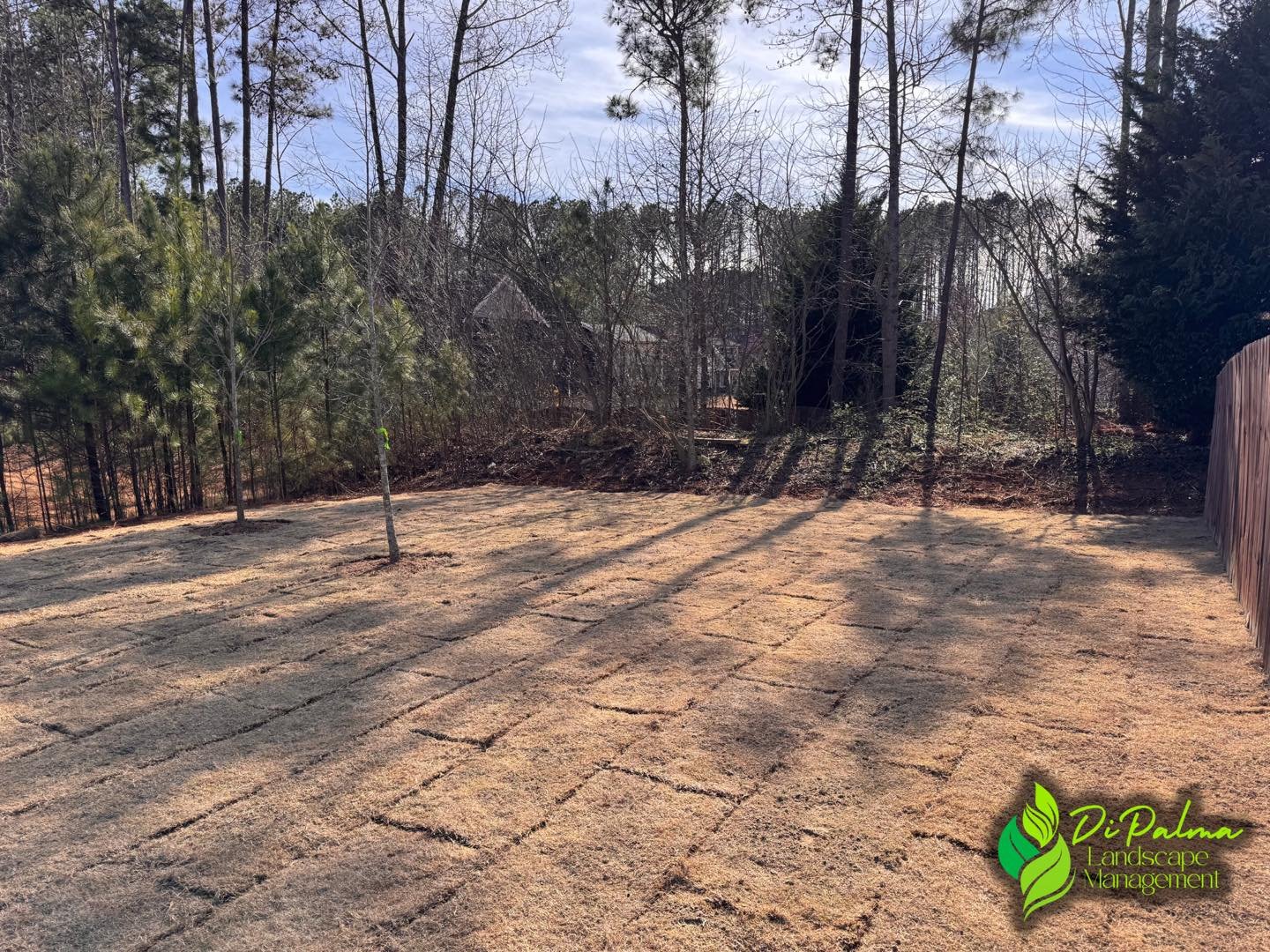 💫This client wanted to turn their overgrown side yard into a clean, usable space their family could truly enjoy. 🏡

We cleared out all the brush and unwanted trees, regraded the area for a smooth finish, and installed several pallets of fresh Bermu