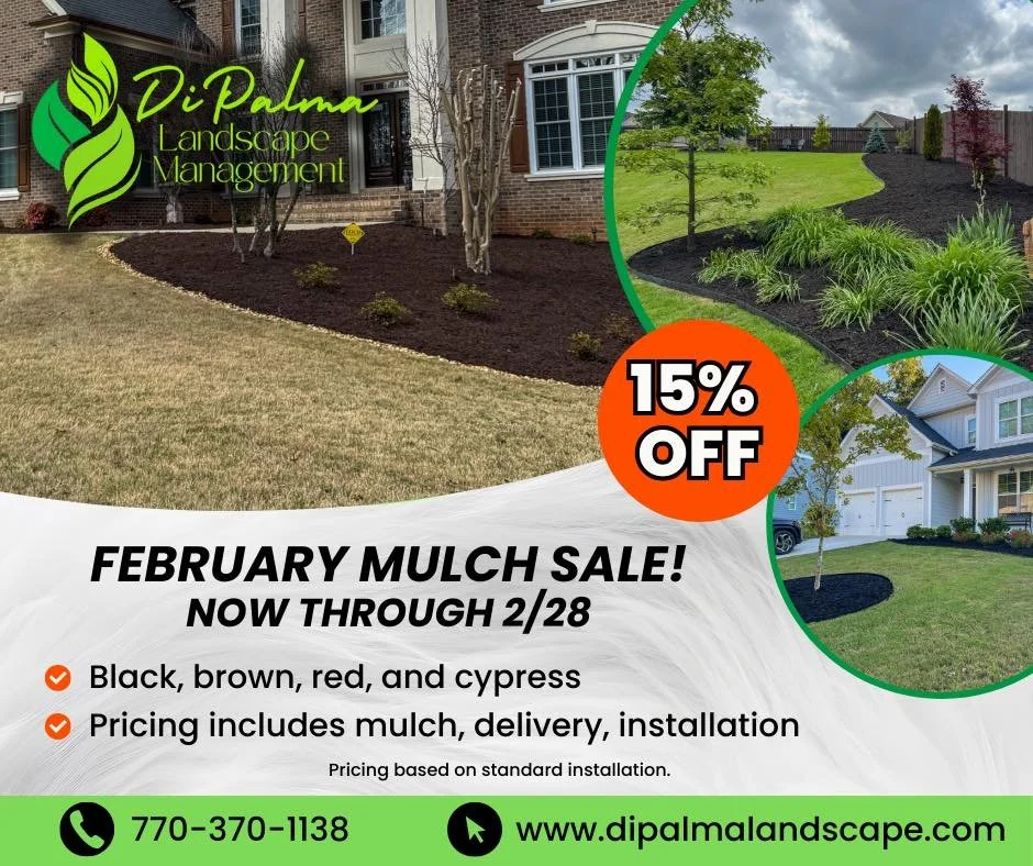 🔥Our Early Season Mulch Sale is back!🔥
Save 15% on mulch installation now through 2/28/26.✅

Get your yard looking its best before the season kicks off. Spots are filling up fast , reach out to get your free quote today! 💫

☎️770-370-1138
🌐www.di