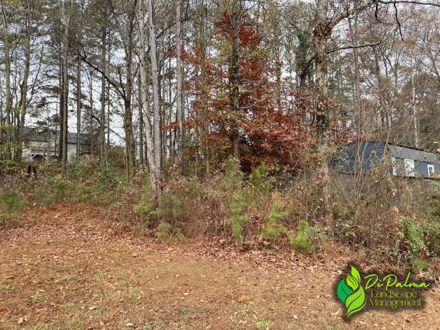 Tired of looking at an overgrown yard? 🌿 Let us take it back for you with our professional brush clearing services&mdash;clean, efficient, and done right.

Contact us today for your free quote:
 🌐www.dipalmalandscape.com 
 ☎️770-370-1138