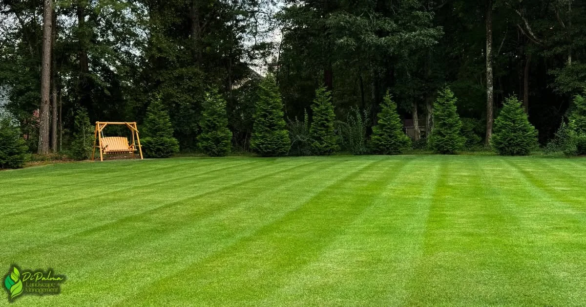 🌿 Ready to transform your property this season? 🔥
DiPalma Landscape Management delivers professional results you can count on. Whether it&rsquo;s routine lawn care or a full landscape upgrade, we handle it all from start to finish ✅

Contact us tod