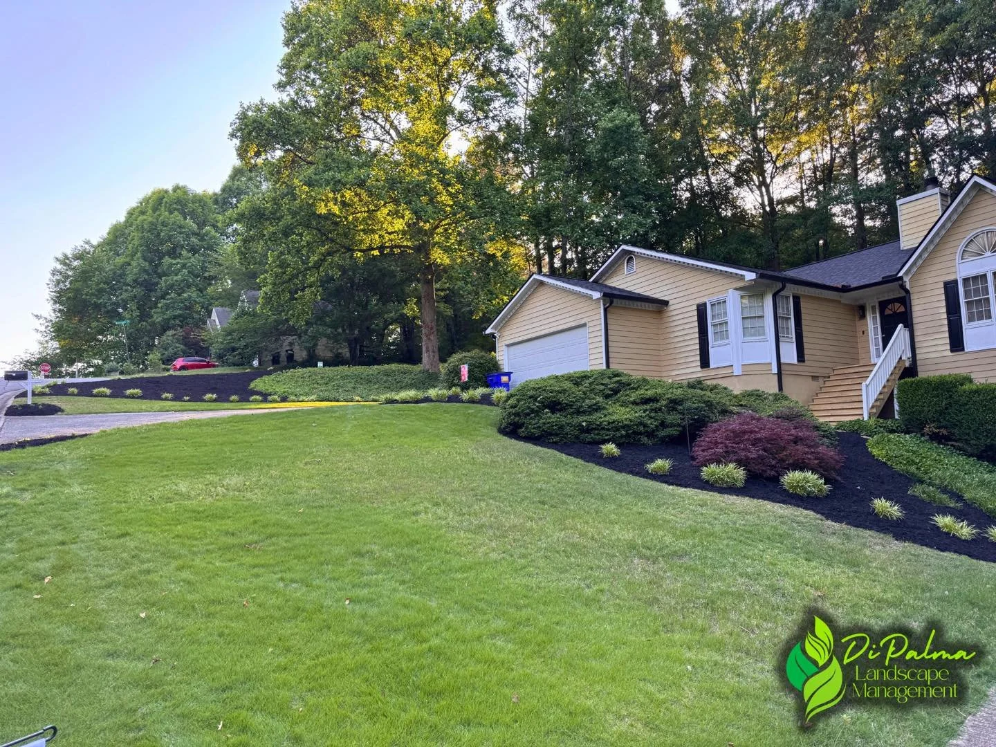 We took this overgrown landscape bed, cleaned it out, and gave it a fresh new look with premium black mulch 🌿🖤 A clean landscape can completely transform the appearance of your property and boost curb appeal instantly. Get your property looking its
