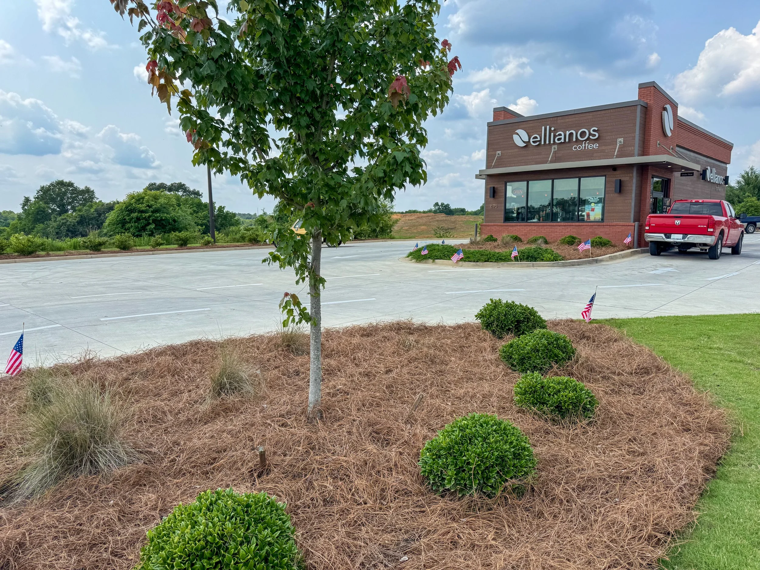 Commercial landscape maintenance and pine straw installation at a coffee shop in Georgia. 
