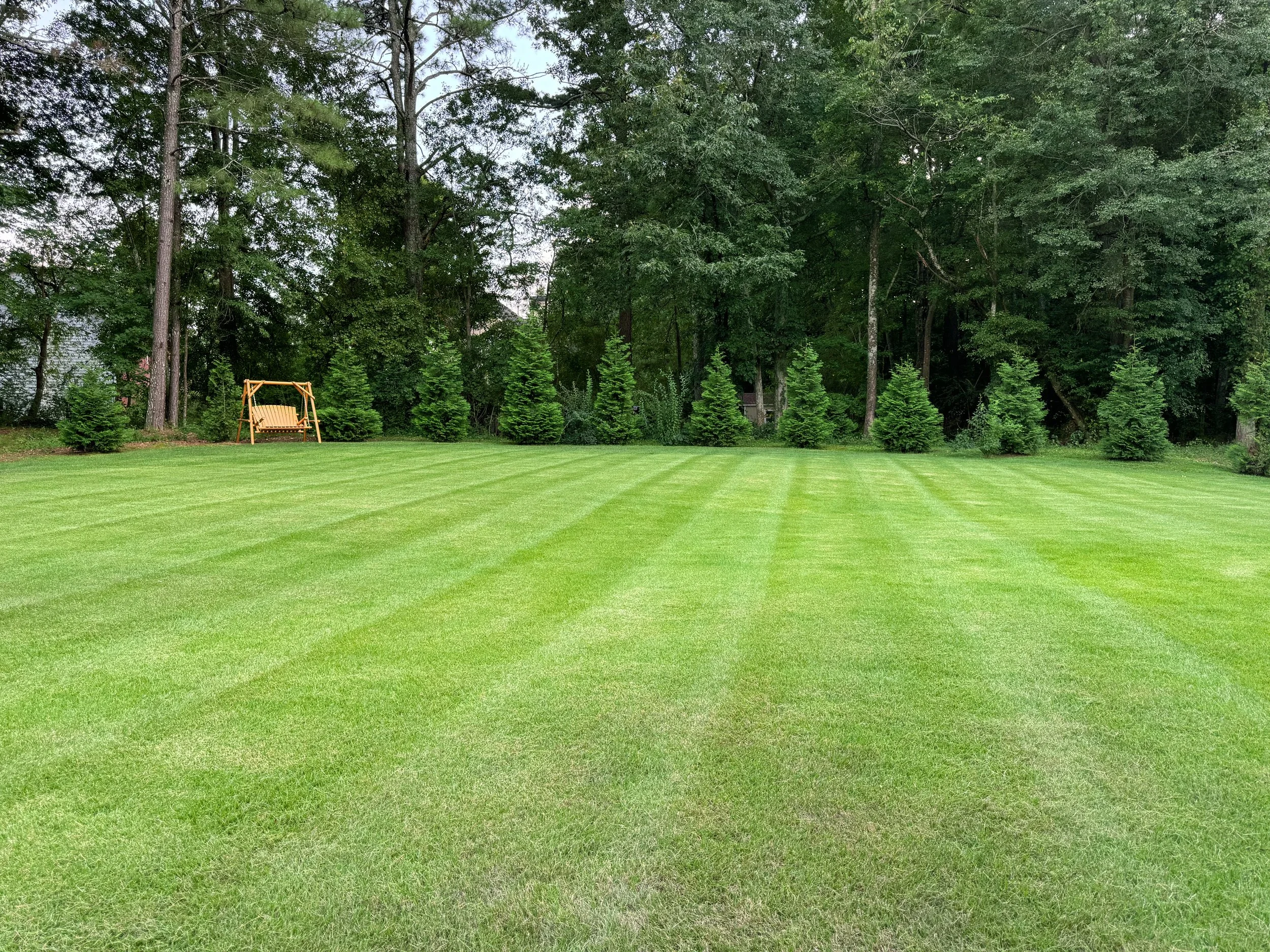 Freshly mowed lawn with professional maintenance in Powder Springs, GA