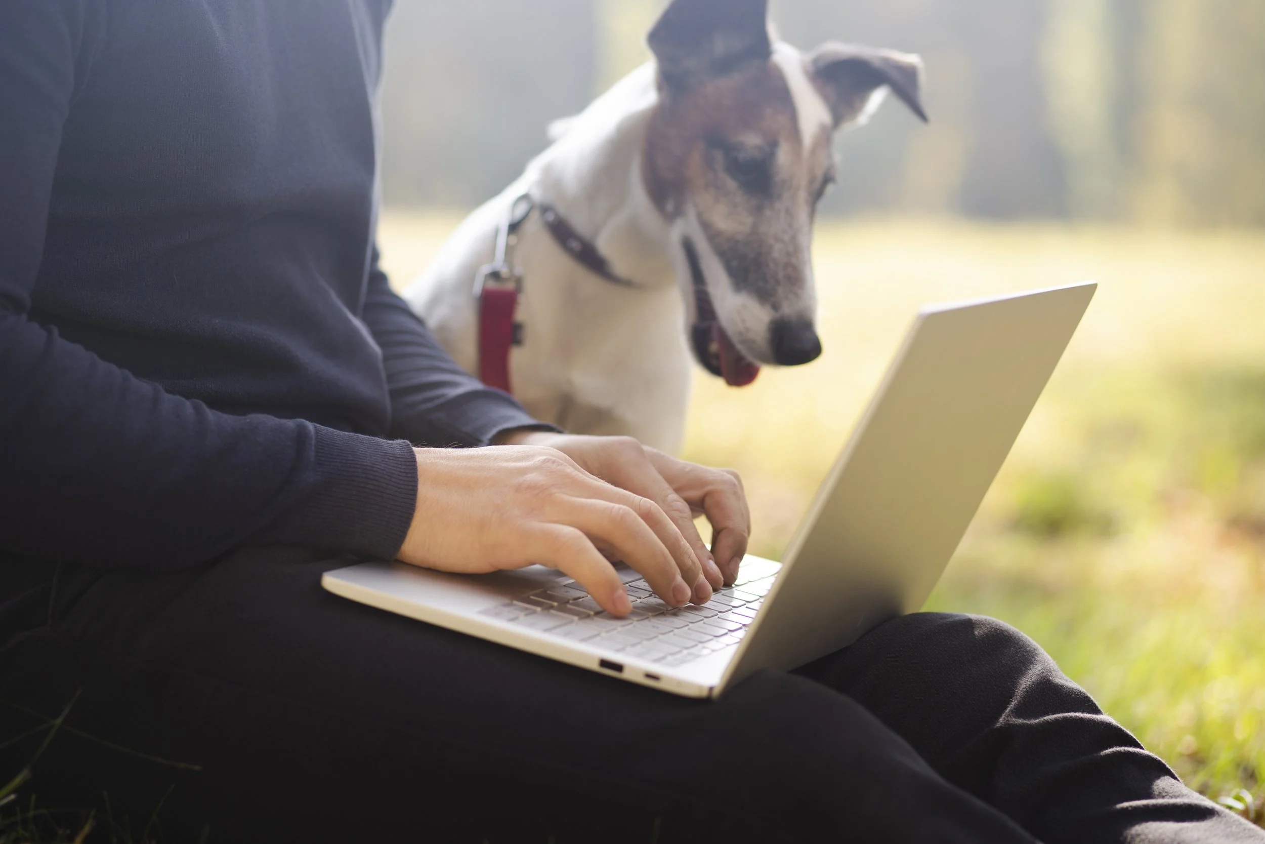 Person using a laptop outdoors with a dog looking at the screen