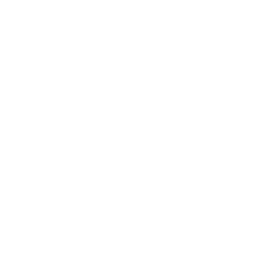 Icon showing a phone and webpage 