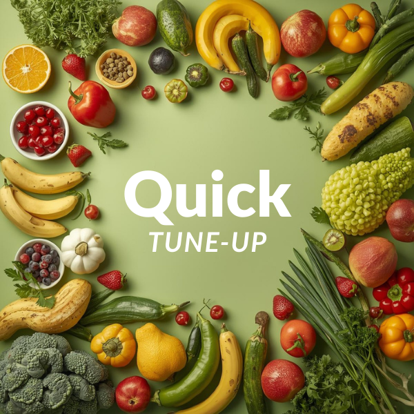 Quick Tune-Up - $475