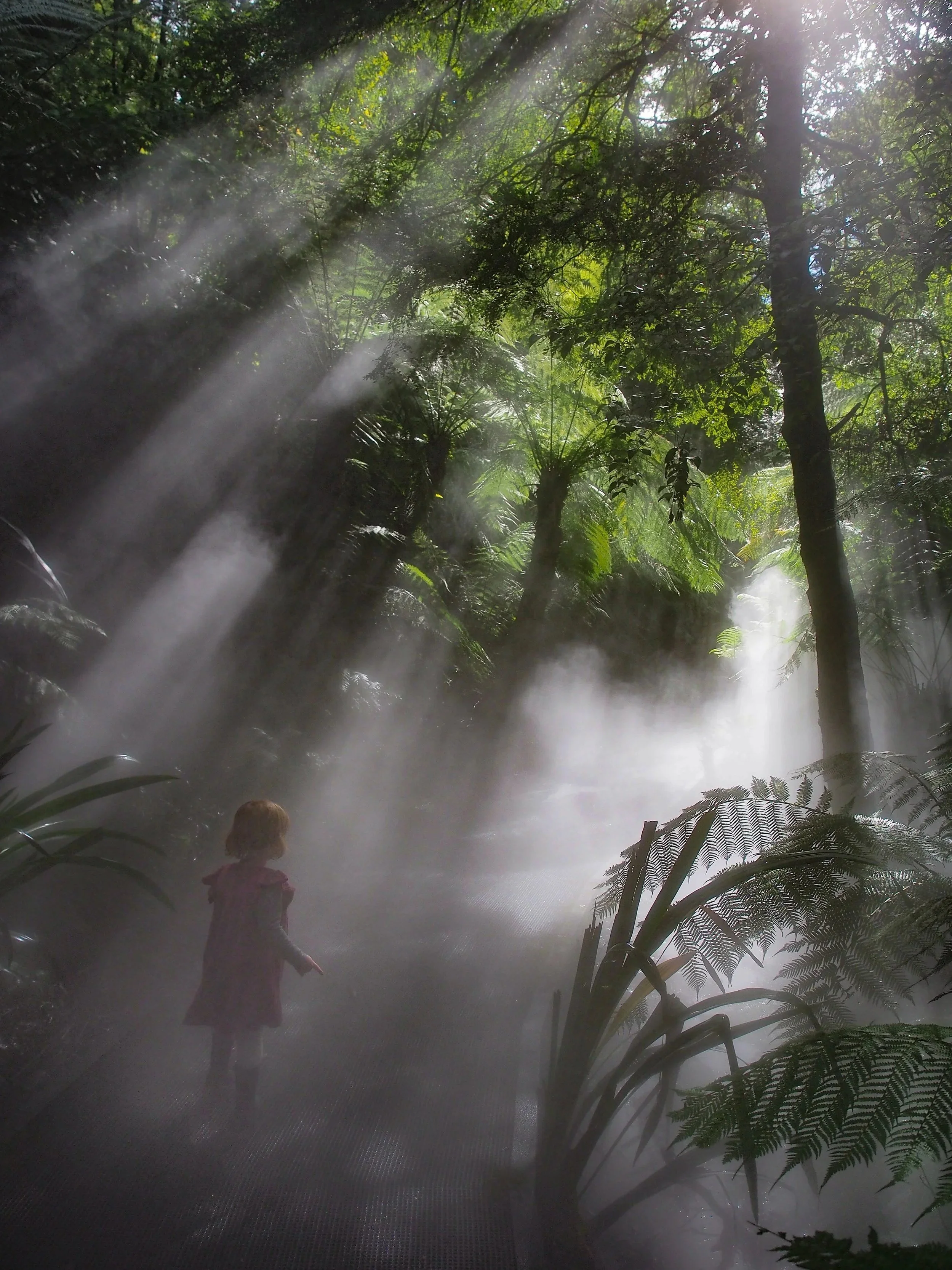 A girl walking on a misty jungle path with sunlight streaming through tall trees and lush green ferns.
