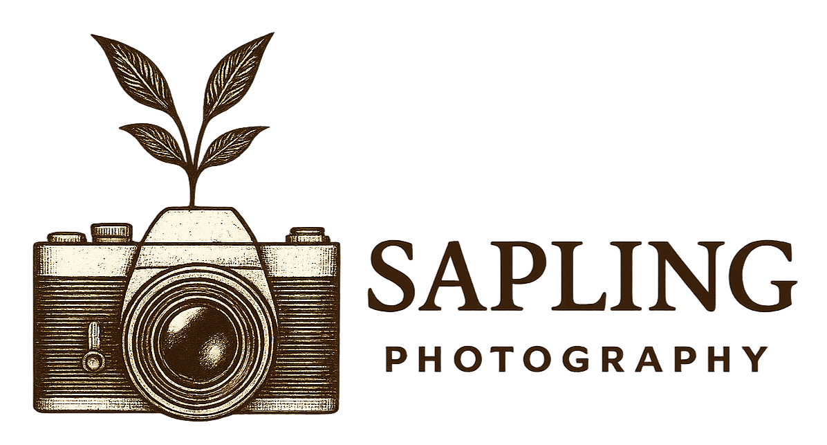 A vintage camera with a plant growing out of it, and the text "Sapling Photography".