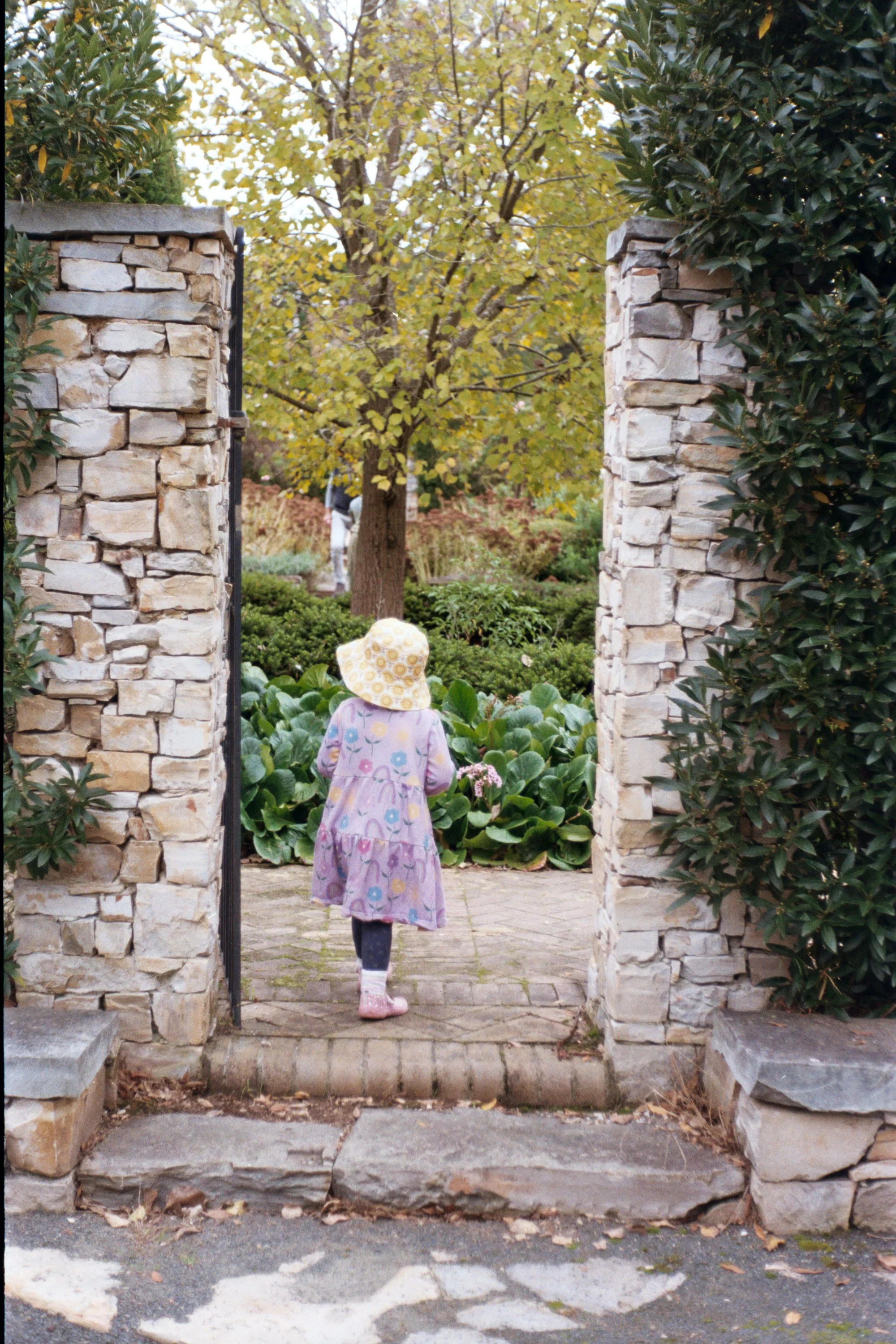 A young girl wearing a purple dress, pink boots, and a yellow sunhat with flowers walks through a stone gate into a lush garden with a tree and green plants.