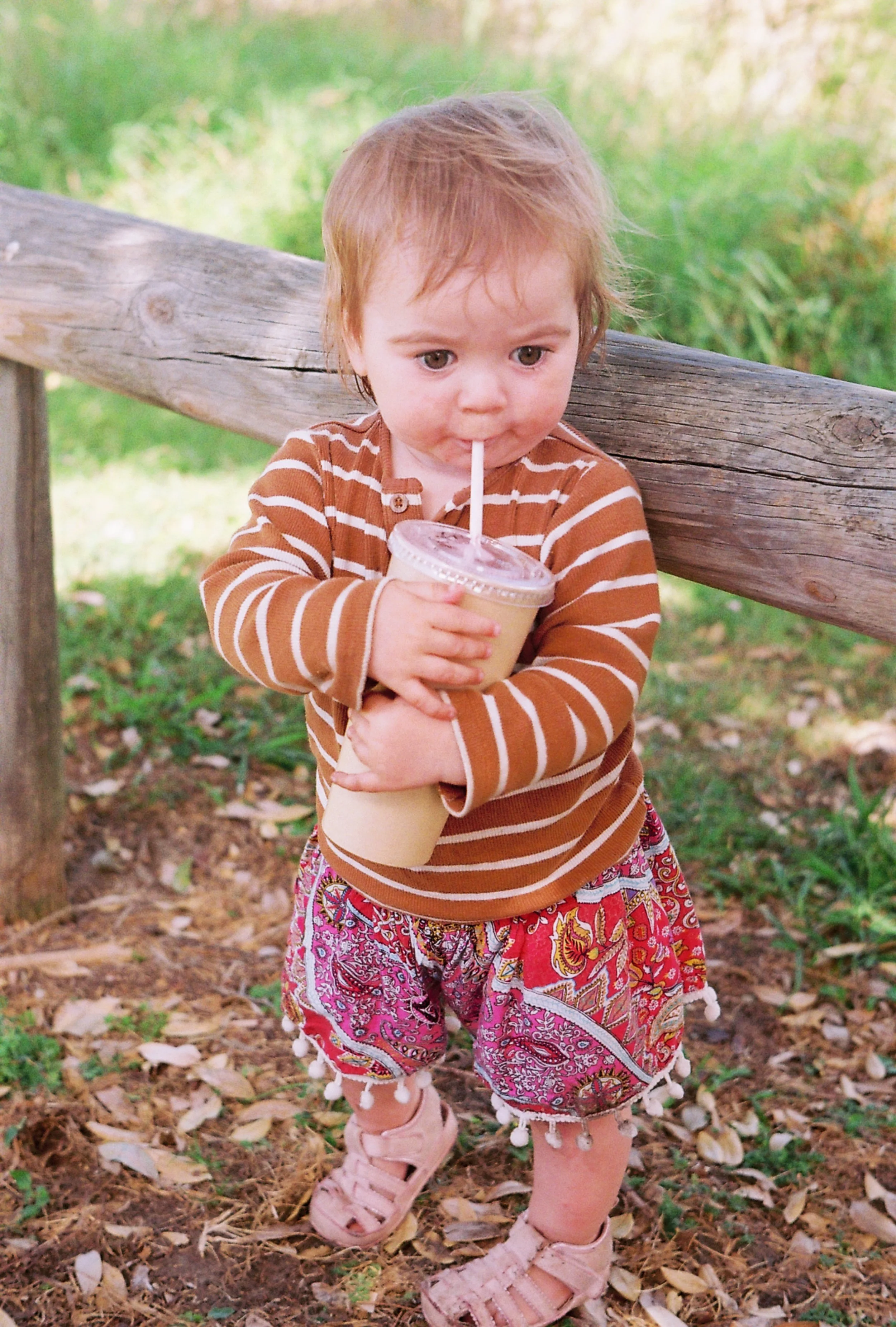 A young child with light brown hair and fair skin is standing outdoors, drinking from a large beige cup with a straw. The child is wearing a brown and white striped long-sleeve shirt and colorful patterned shorts with pom-pom trim. The background features green grass and a wooden railing.