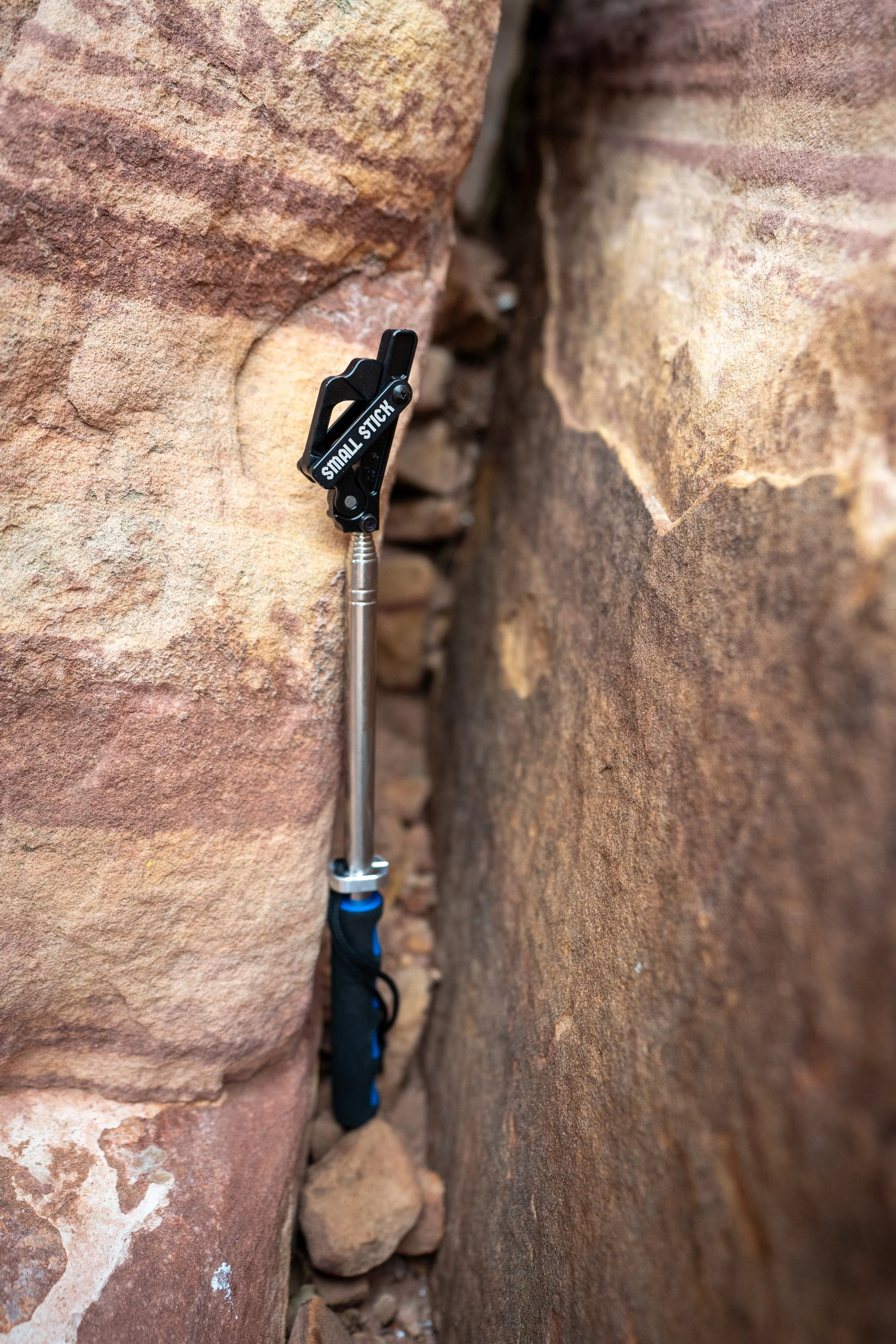 Small Stick closed standing in a crack.jpeg
