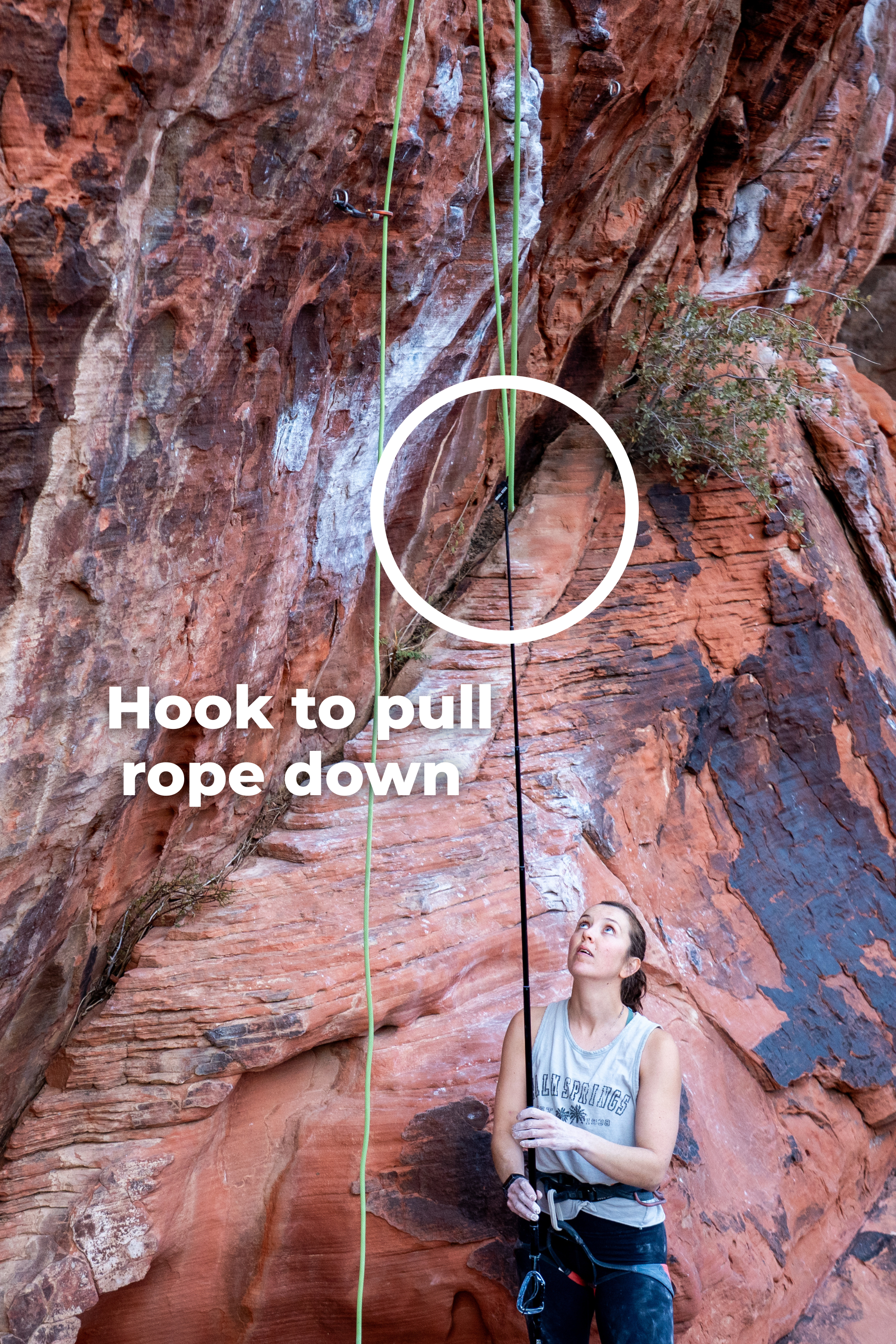 Small Stick Plus pulling down rope WITH TEXT.png