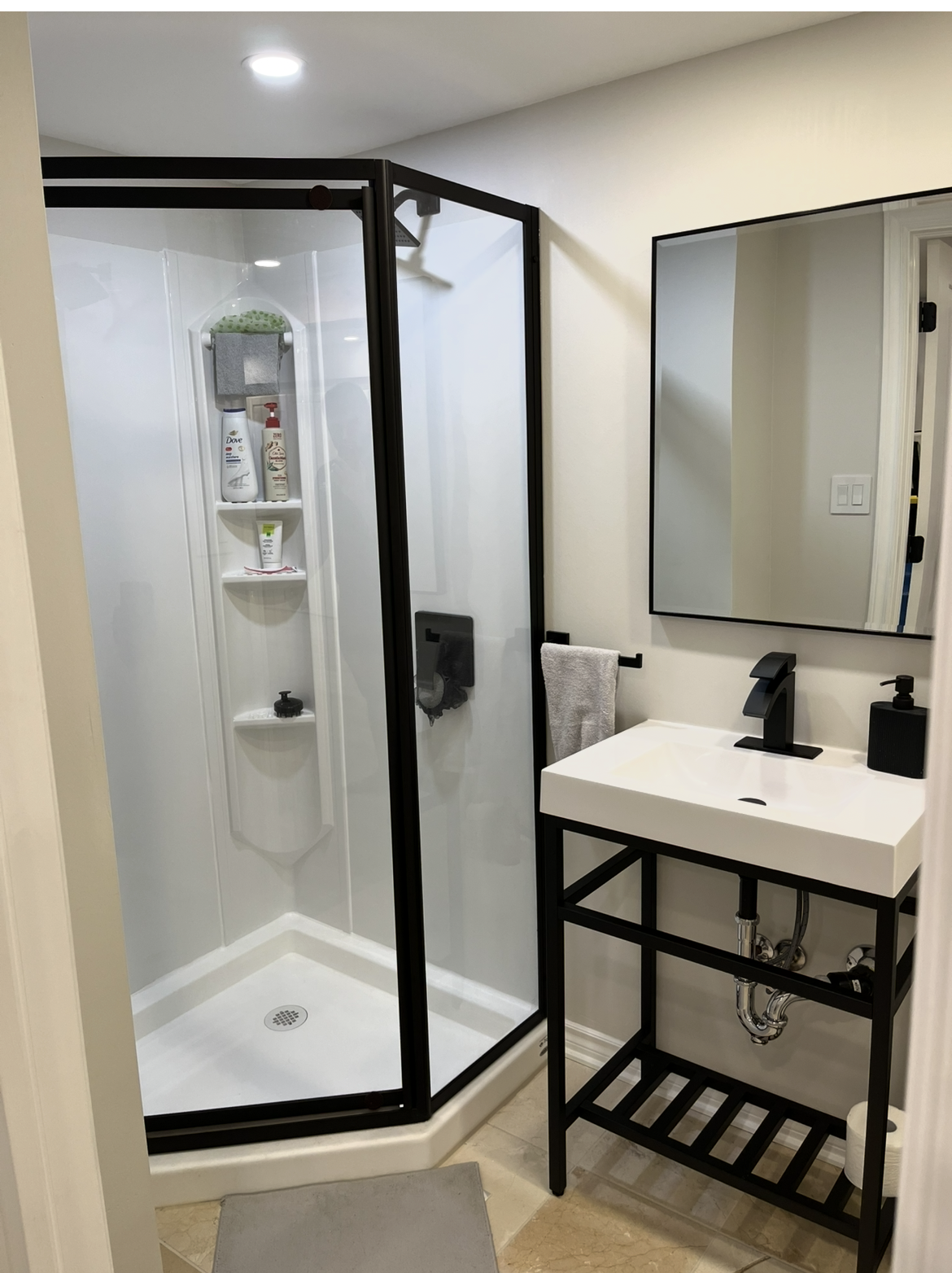 Modern bathroom with a glass shower enclosure, white sink with black fixtures, large mirror, and minimal accessories.