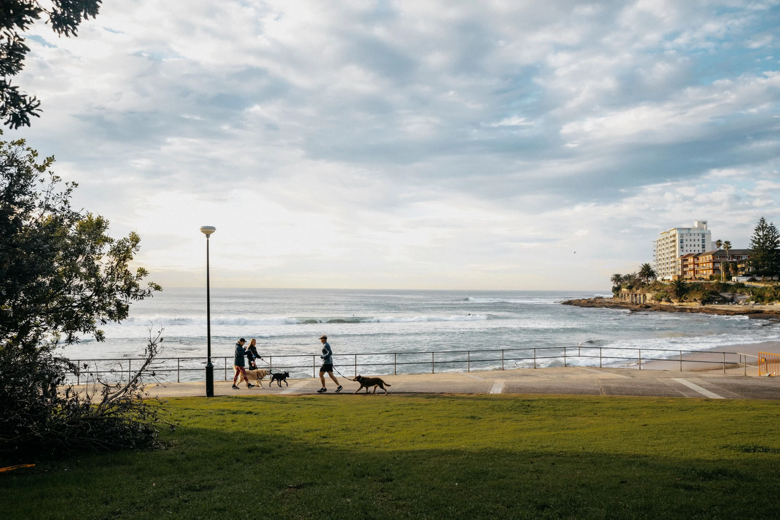 Day Trip | Hazelhurst Gallery &amp; Cronulla