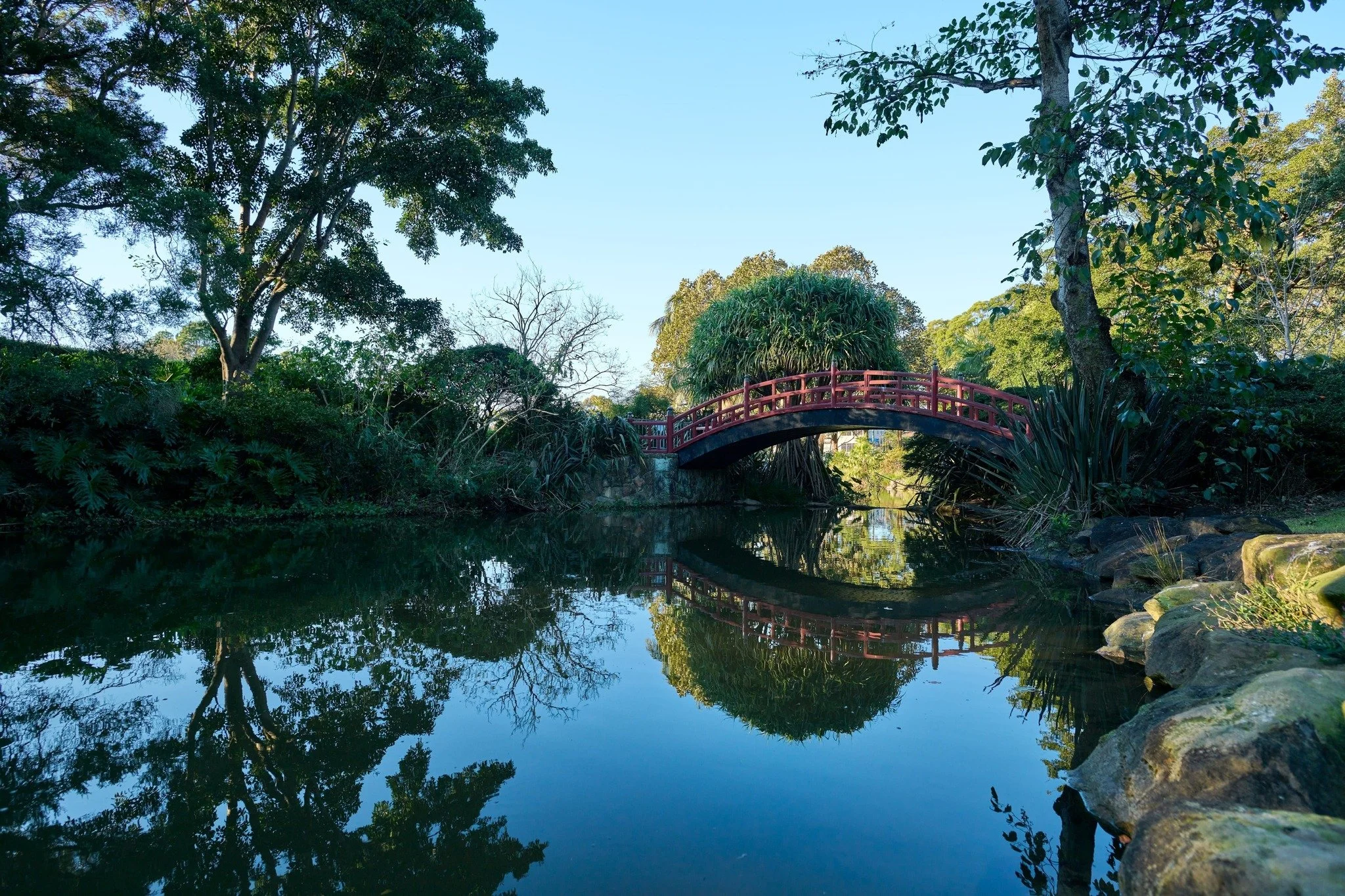 POSTPONED - WE APOLOGISE FOR ANY INCONVENIENCE.

THIS WEEK'S DAY TRIP: WOOLLONGONG - WEDNESDAY 2 SEPT

Everyone is welcome to join the Kings Cross Community Centre Day Trip for a great day out of town. See the sights, stop for lunch, enjoy the compan