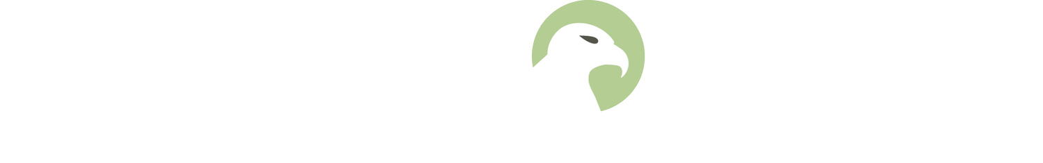 Predator Bird Services