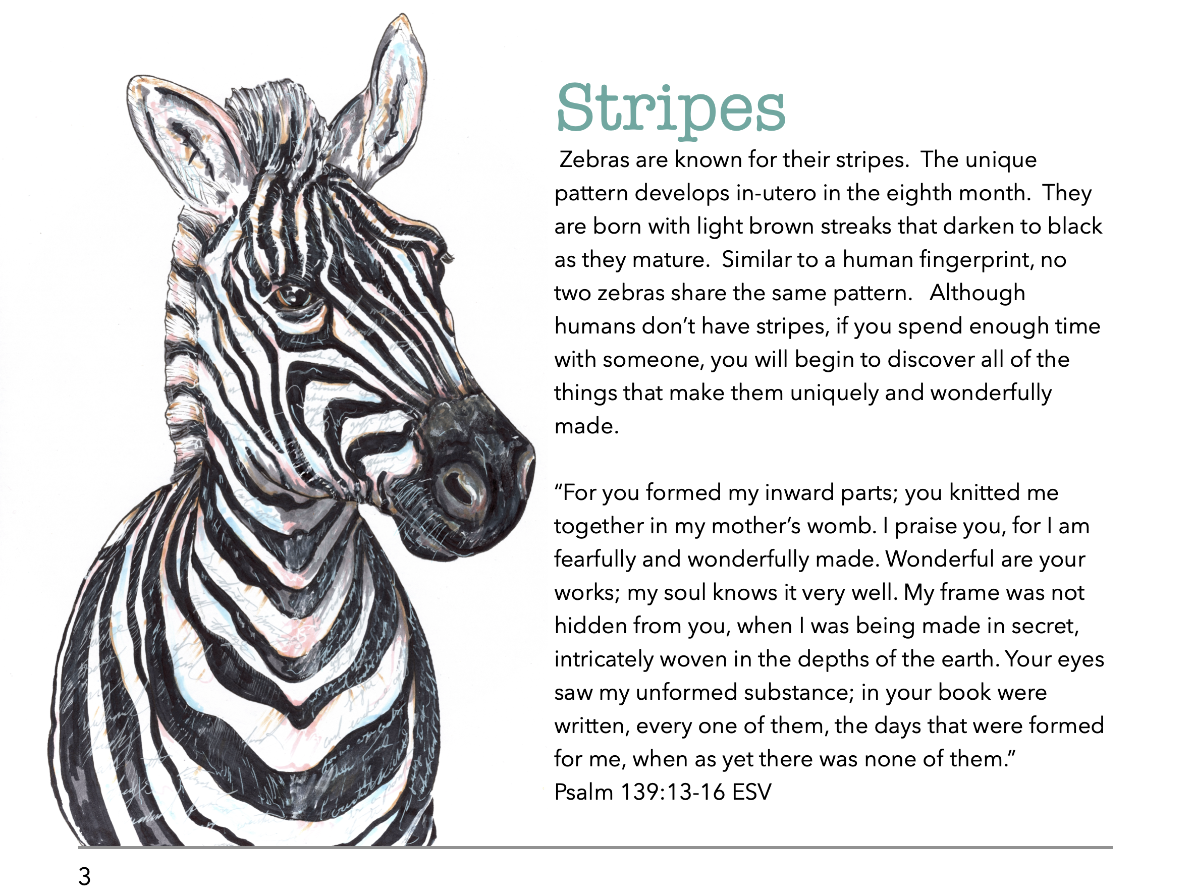 Illustration of a zebra's head and upper body with black and white stripes, accompanied by text about zebra stripes and a Bible quote from Psalm 139:13-16.