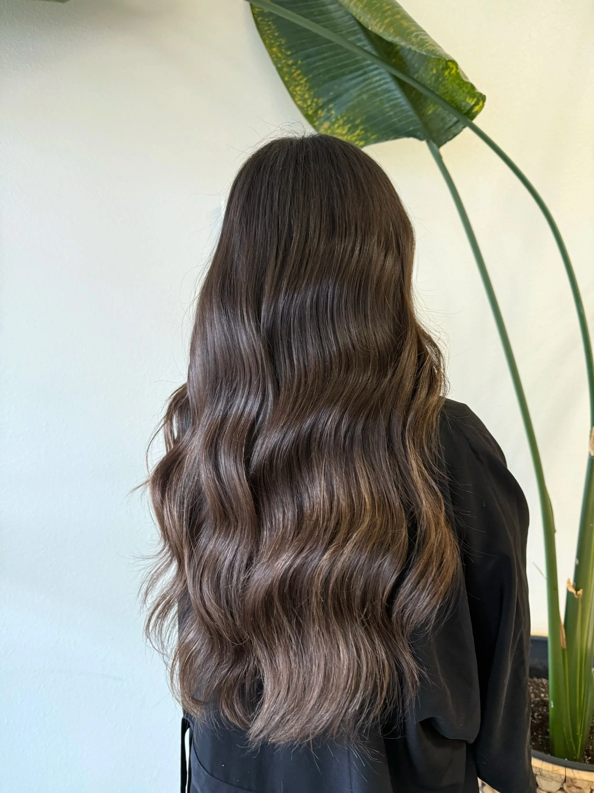Shiny, Healthy Dimensional Brunette with 1 row of handtied extensions for volume.