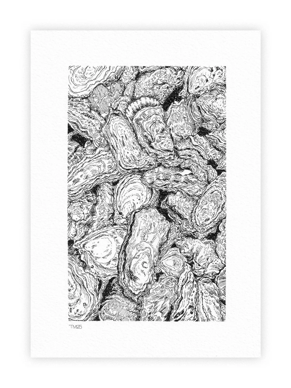 Oysters.jpg