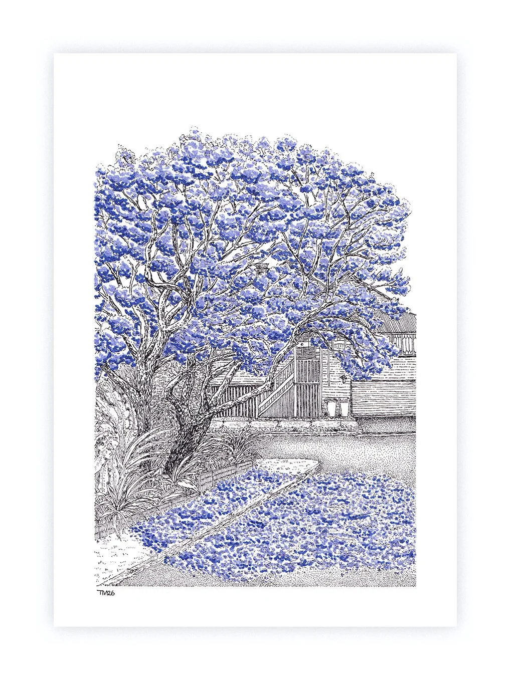 A4_JacarandasinBloom.jpg