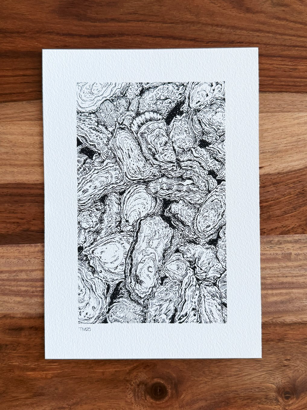 Oysters (A5 print)