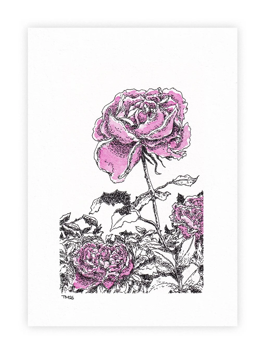 Roses_A5print_thumbnail3.jpg
