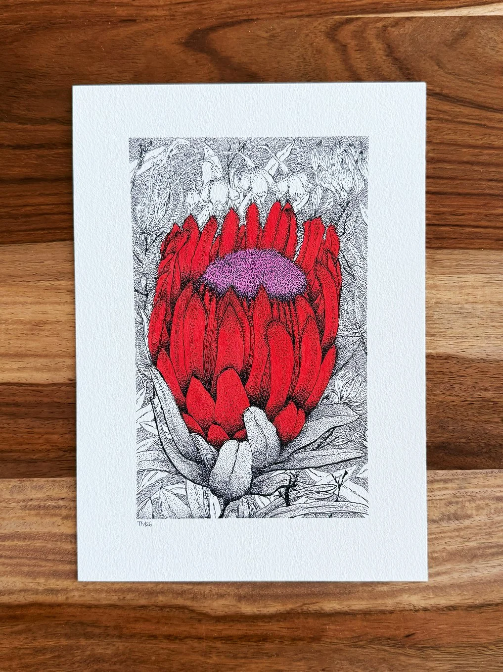 Ruby Protea (A5 print)
