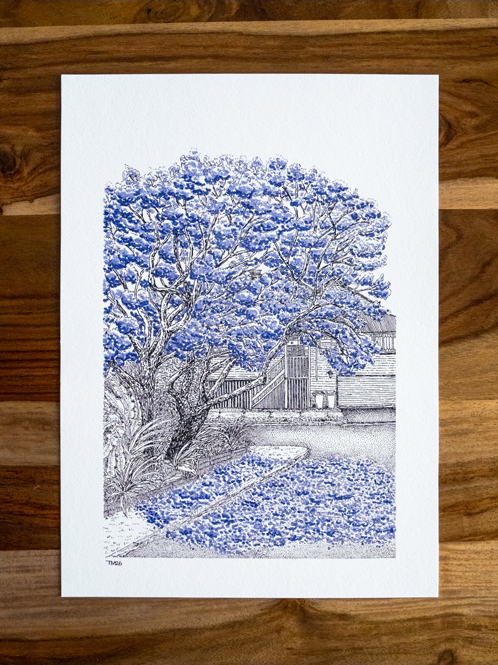 Jacarandas in Bloom (A4 print)