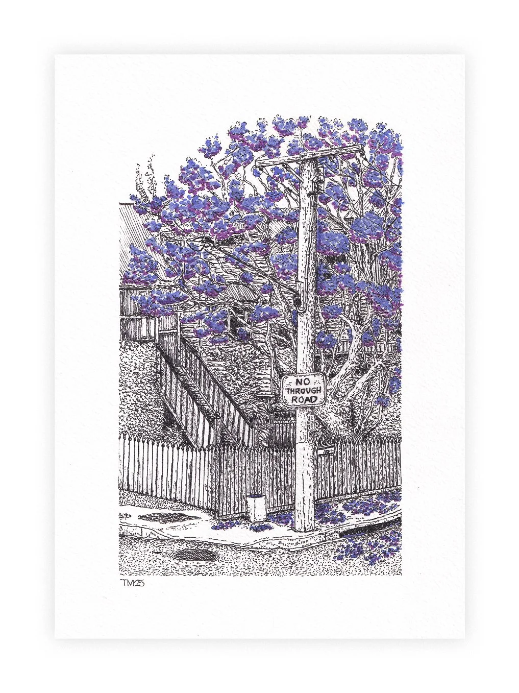 Jacaranda-season_house.jpg
